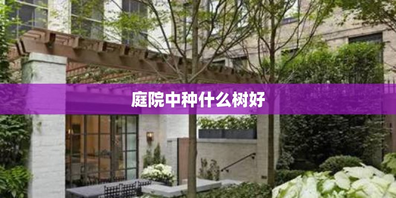 庭院中种什么树好