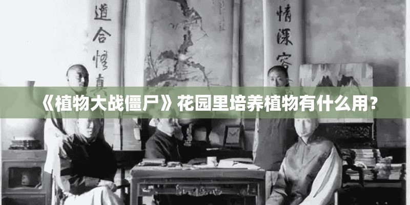 《植物大战僵尸》花园里培养植物有什么用？