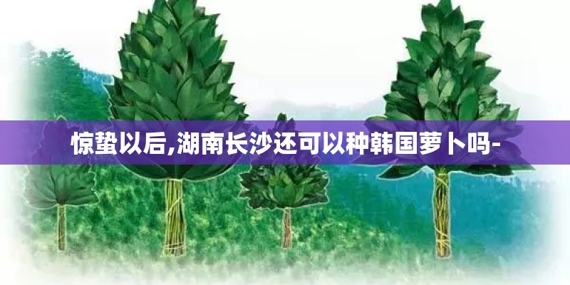 惊蛰以后,湖南长沙还可以种韩国萝卜吗-