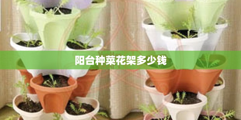 阳台种菜花架多少钱