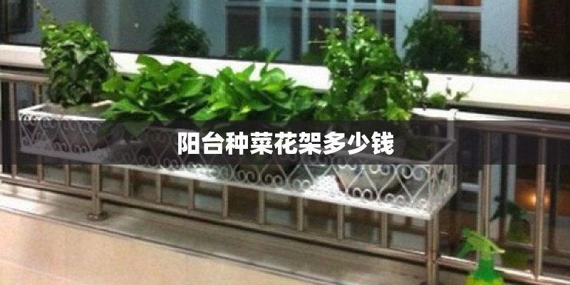 阳台种菜花架多少钱