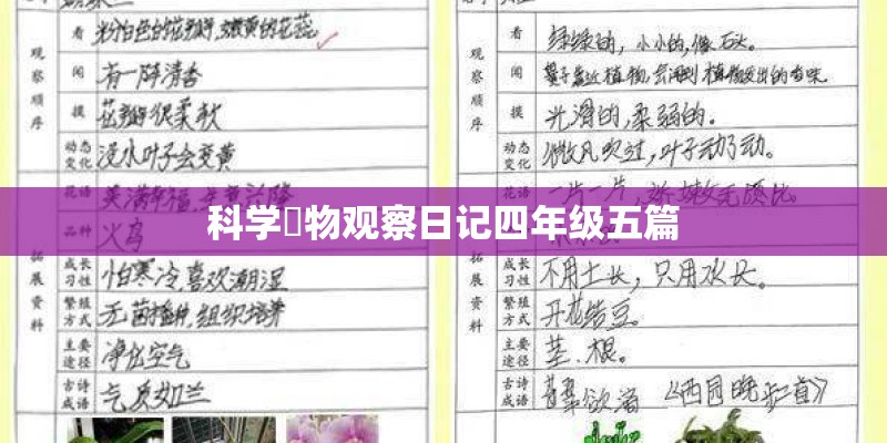 科学稙物观察日记四年级五篇