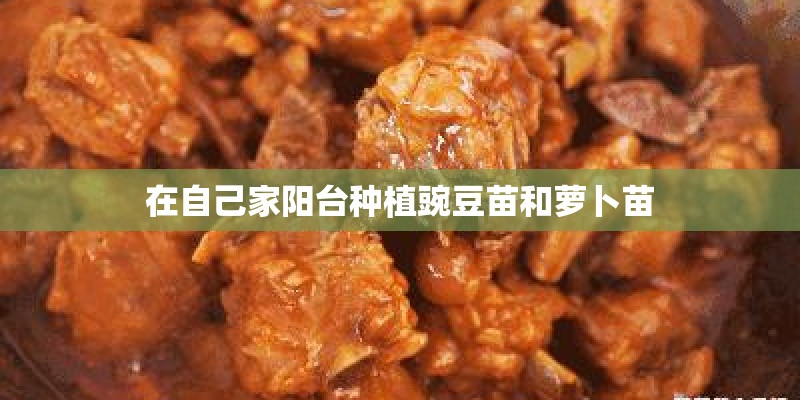 在自己家阳台种植豌豆苗和萝卜苗