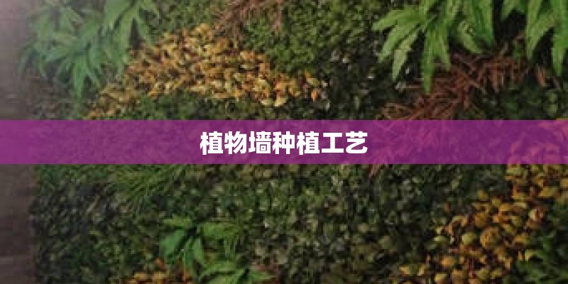 植物墙种植工艺