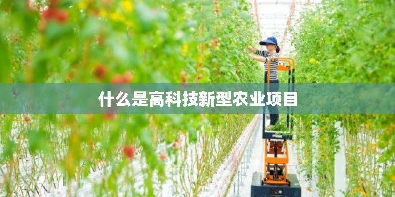 什么是高科技新型农业项目
