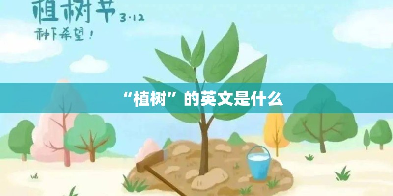 “植树”的英文是什么