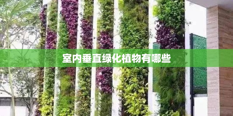 室内垂直绿化植物有哪些