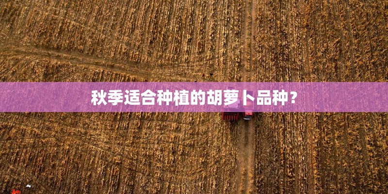 秋季适合种植的胡萝卜品种？