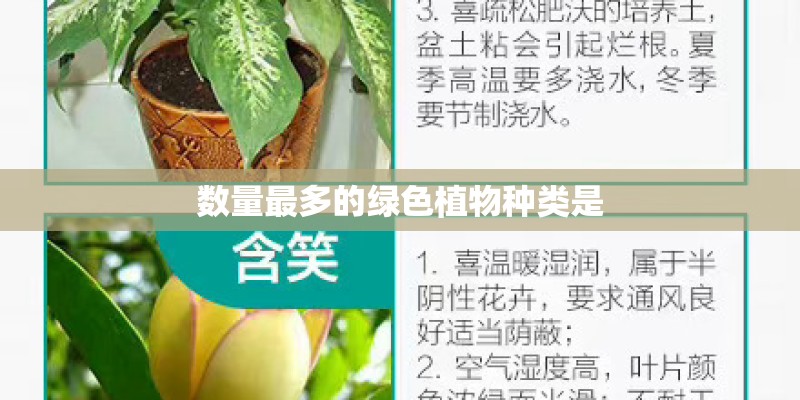 数量最多的绿色植物种类是
