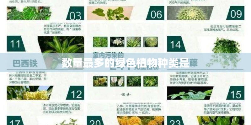 数量最多的绿色植物种类是