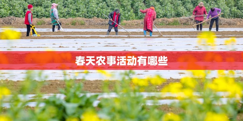 春天农事活动有哪些