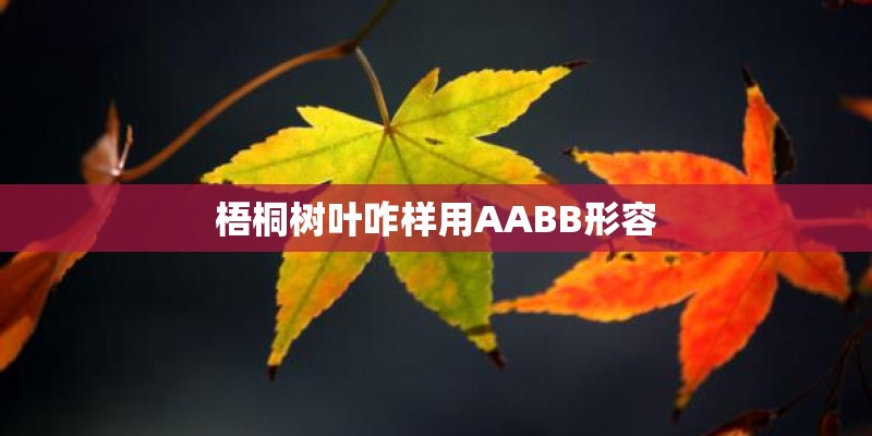 梧桐树叶咋样用AABB形容