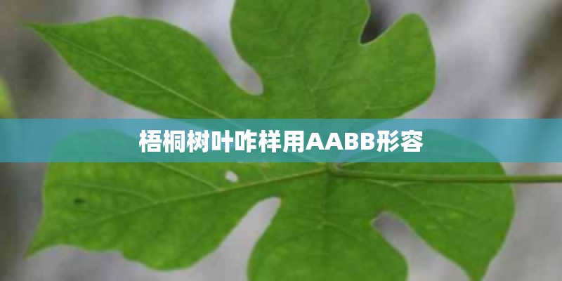 梧桐树叶咋样用AABB形容
