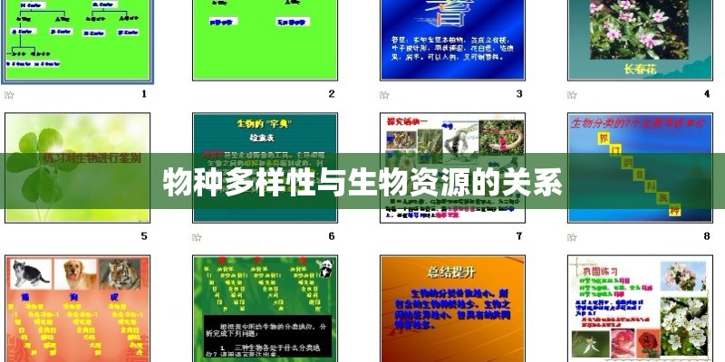 物种多样性与生物资源的关系