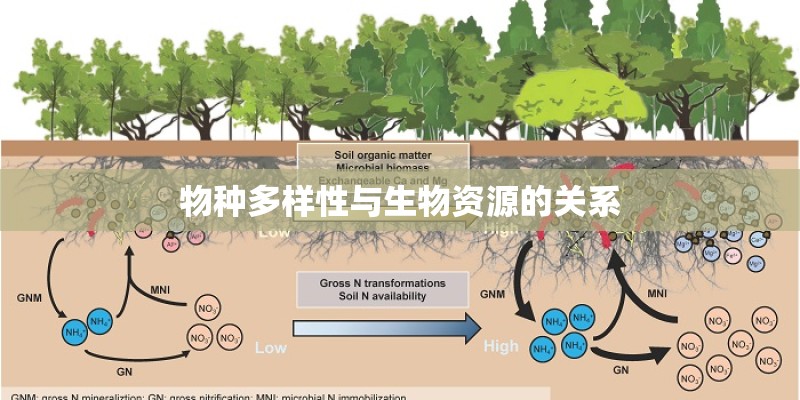 物种多样性与生物资源的关系