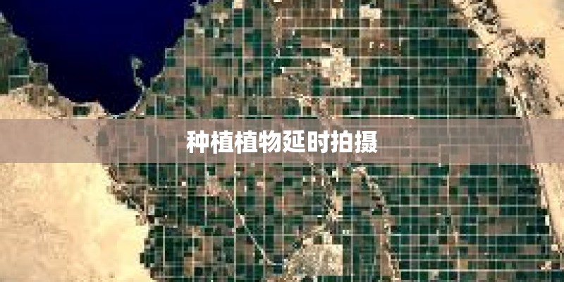 种植植物延时拍摄