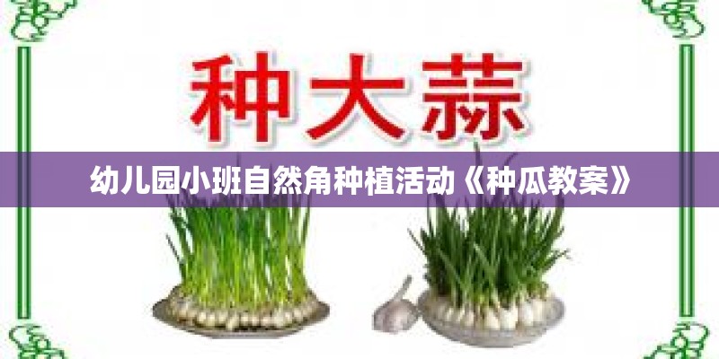 幼儿园小班自然角种植活动《种瓜教案》