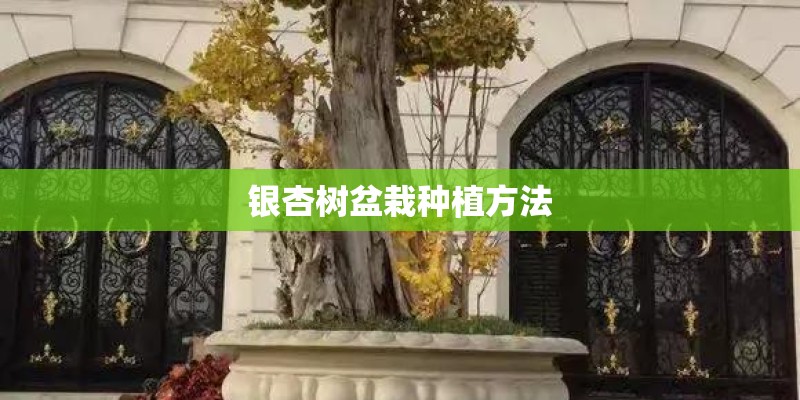 汽车雨刷多久换一次