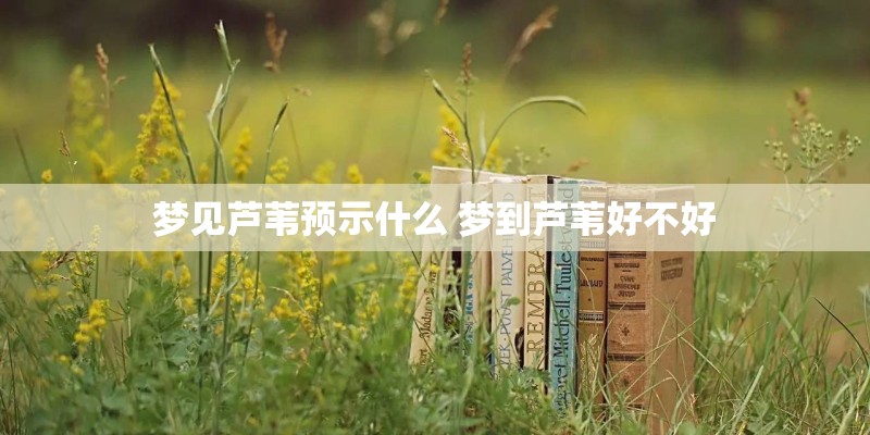 梦见芦苇预示什么 梦到芦苇好不好