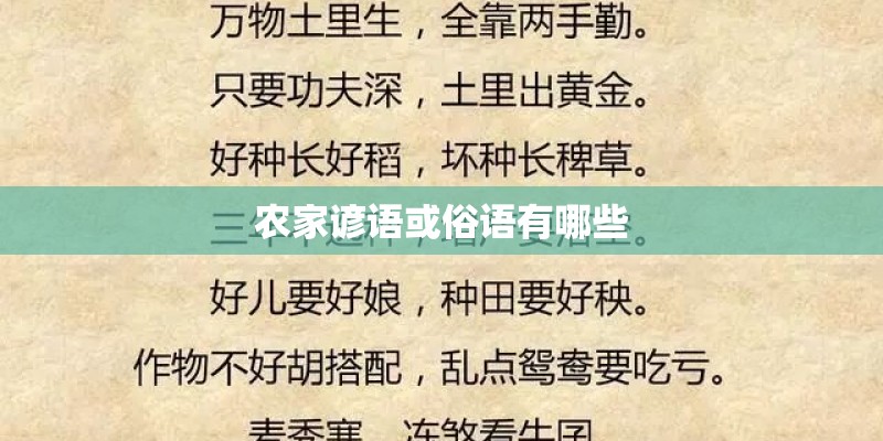 农家谚语或俗语有哪些