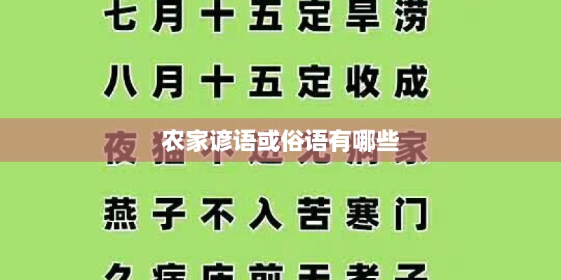 农家谚语或俗语有哪些