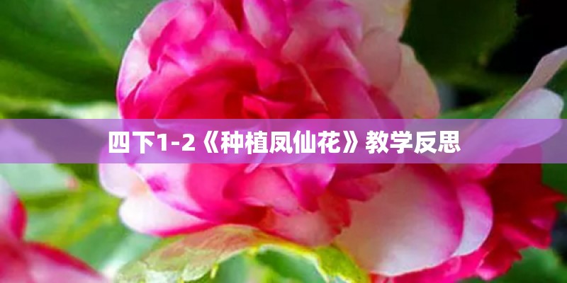 四下1-2《种植凤仙花》教学反思
