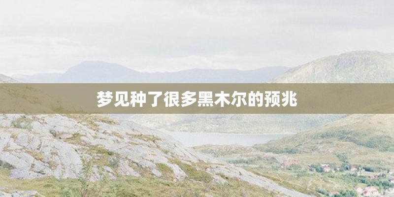 梦见种了很多黑木尔的预兆