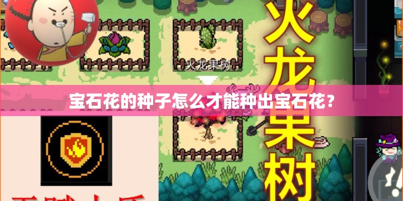 宝石花的种子怎么才能种出宝石花？