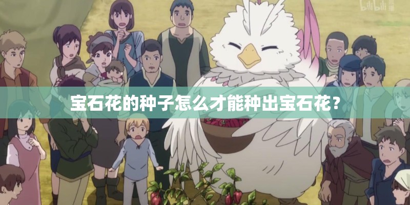 宝石花的种子怎么才能种出宝石花？