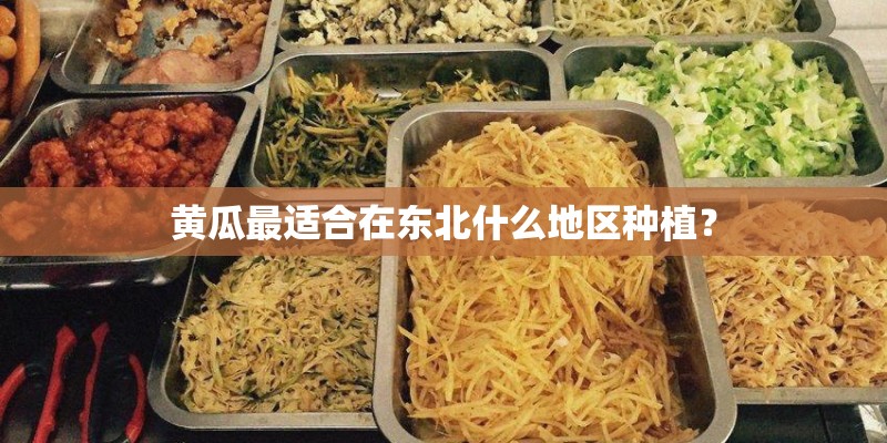 黄瓜最适合在东北什么地区种植？