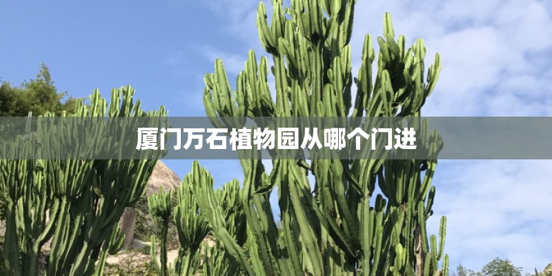 厦门万石植物园从哪个门进