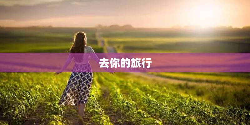 去你的旅行