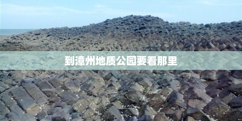 到漳州地质公园要看那里