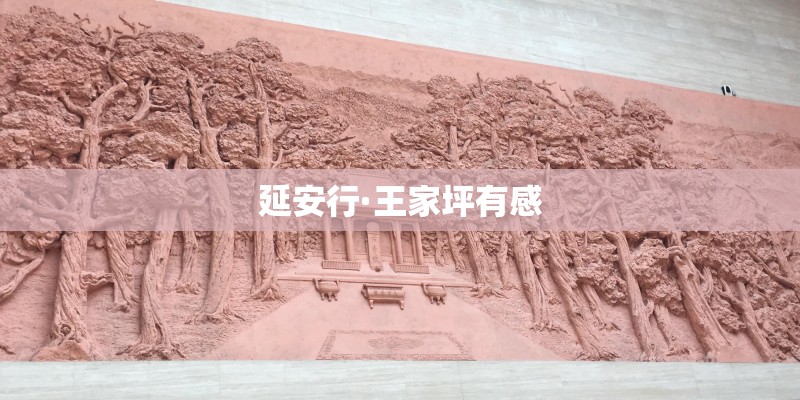 延安行·王家坪有感