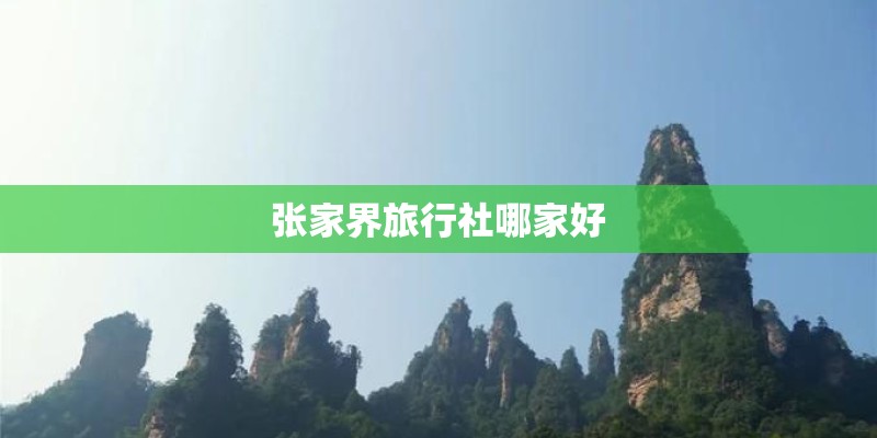 张家界旅行社哪家好