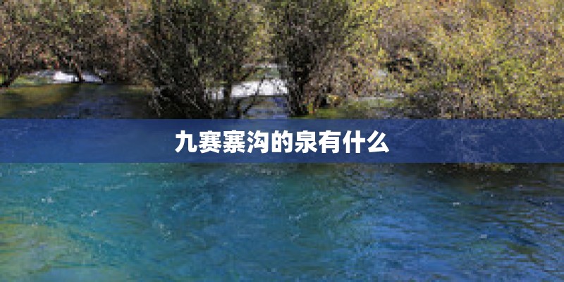 九赛寨沟的泉有什么