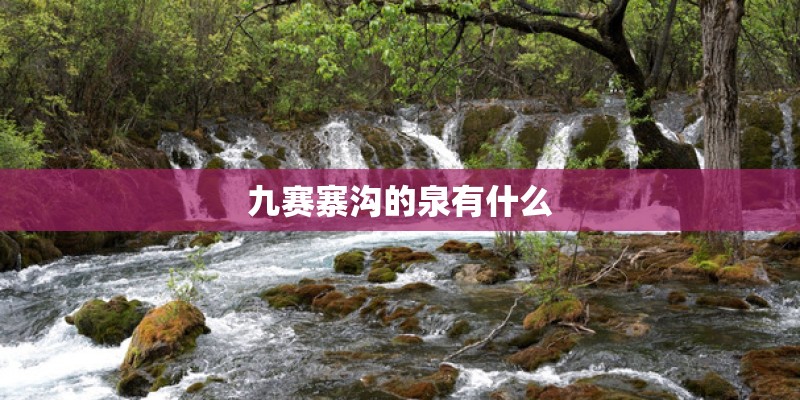 九赛寨沟的泉有什么