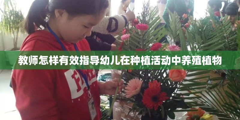 教师怎样有效指导幼儿在种植活动中养殖植物