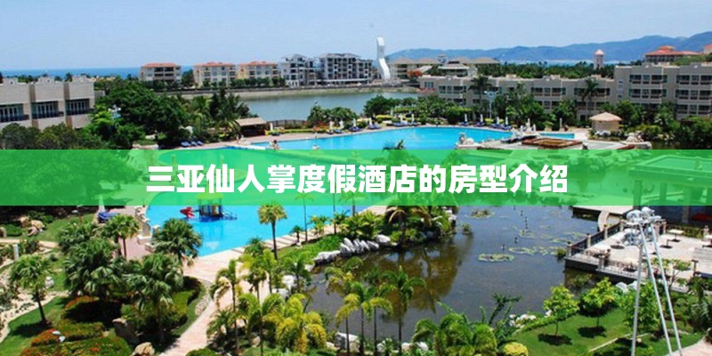 三亚仙人掌度假酒店的房型介绍