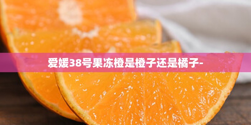 爱媛38号果冻橙是橙子还是橘子-