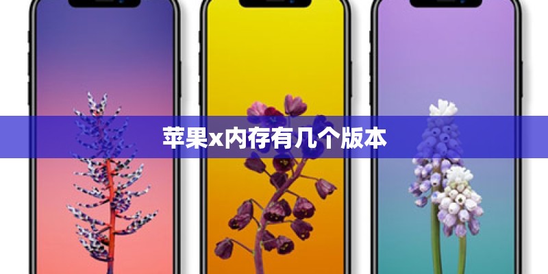 苹果x内存有几个版本