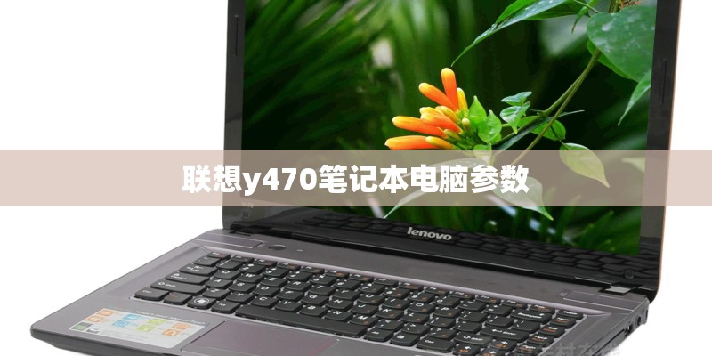 联想y470笔记本电脑参数