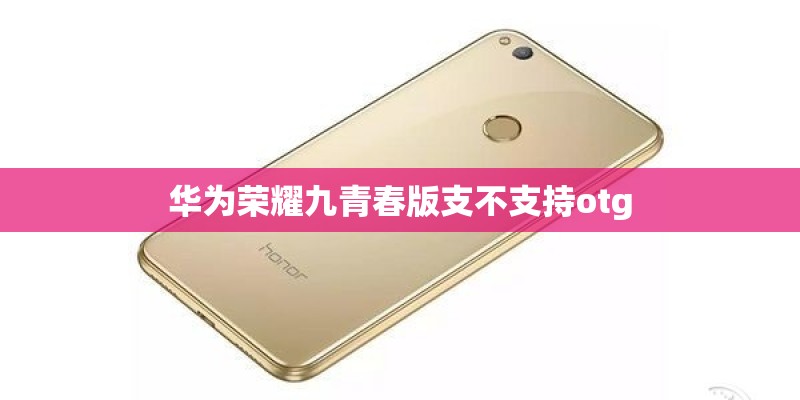 华为荣耀九青春版支不支持otg