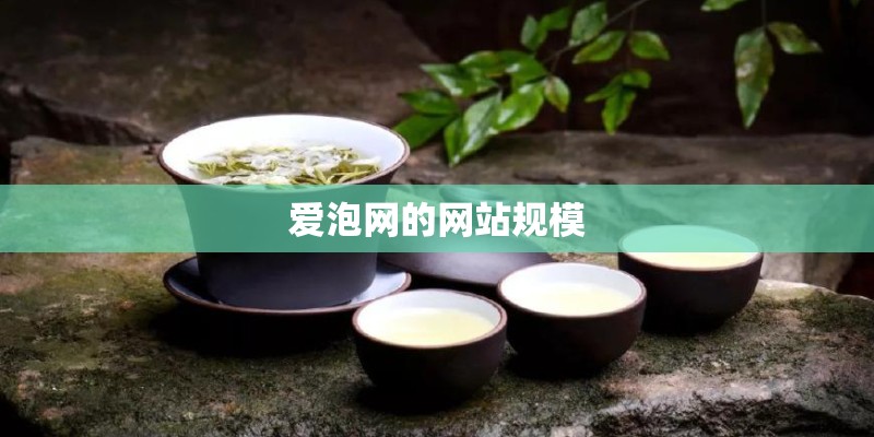 爱泡网的网站规模