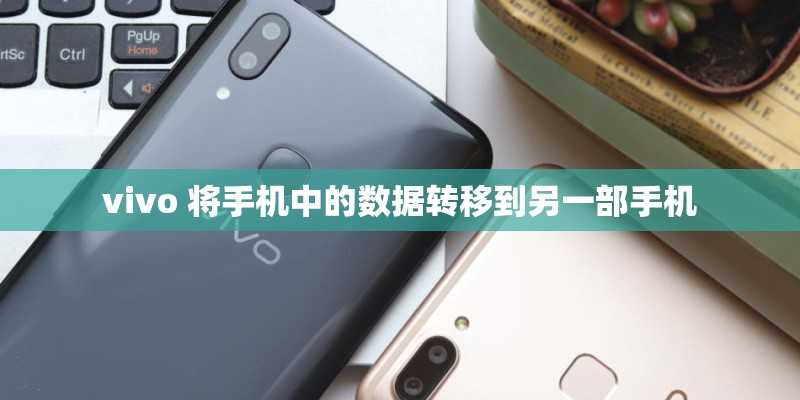 vivo 将手机中的数据转移到另一部手机
