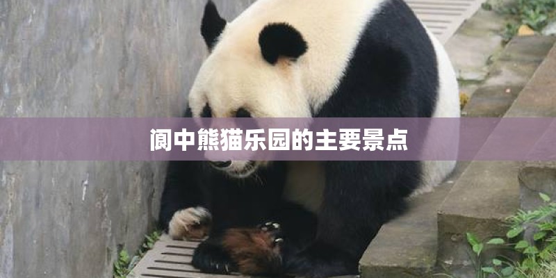 阆中熊猫乐园的主要景点
