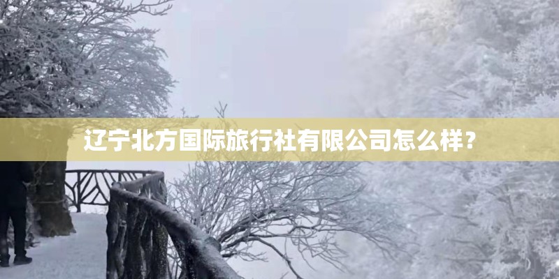 辽宁北方国际旅行社有限公司怎么样？