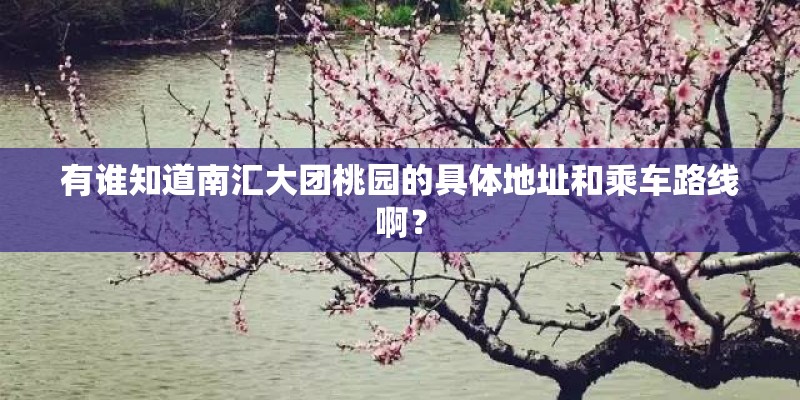 有谁知道南汇大团桃园的具体地址和乘车路线啊？