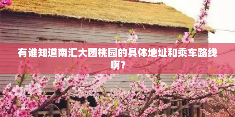 有谁知道南汇大团桃园的具体地址和乘车路线啊？