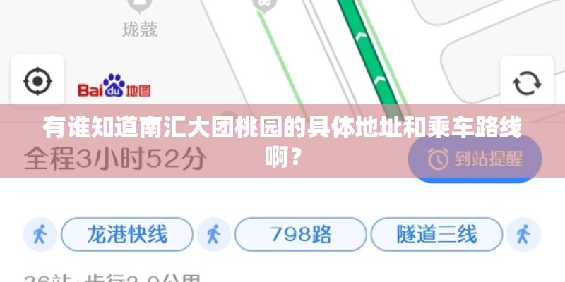 有谁知道南汇大团桃园的具体地址和乘车路线啊？